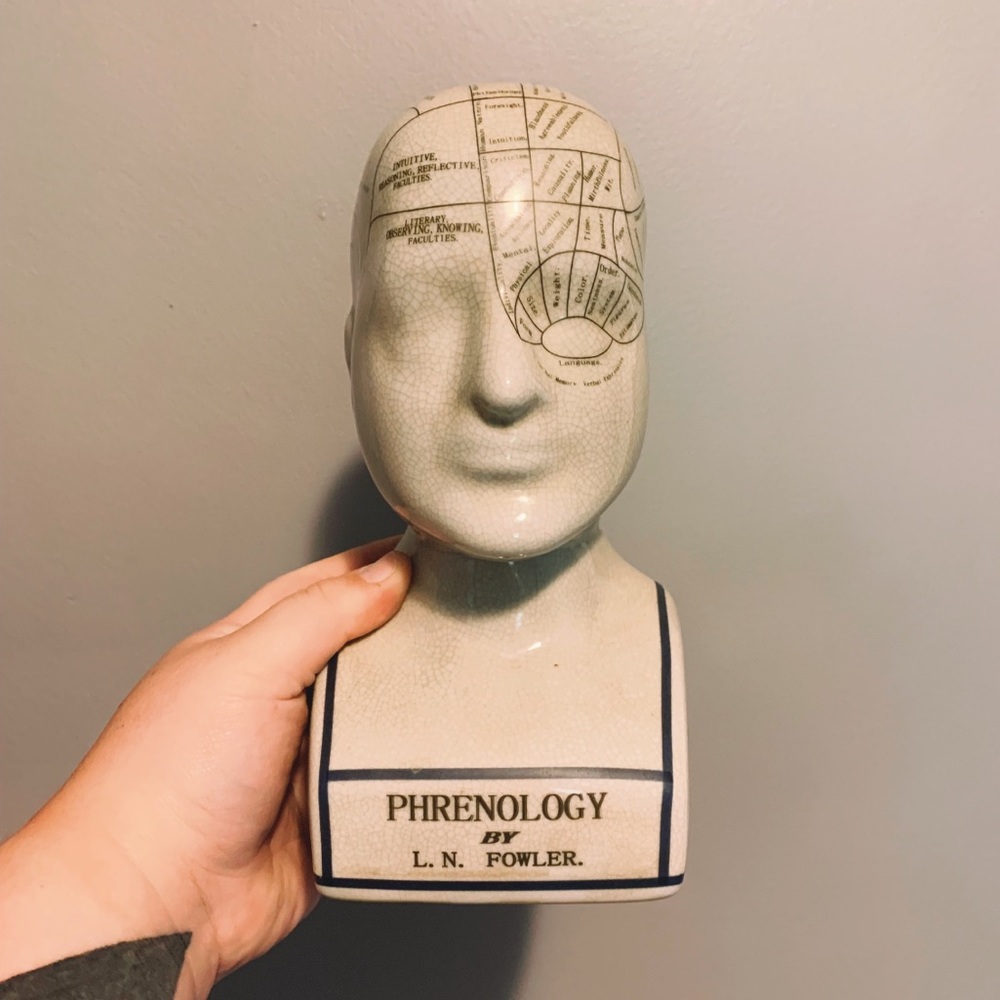 Decorative Ceramic Phrenology Head